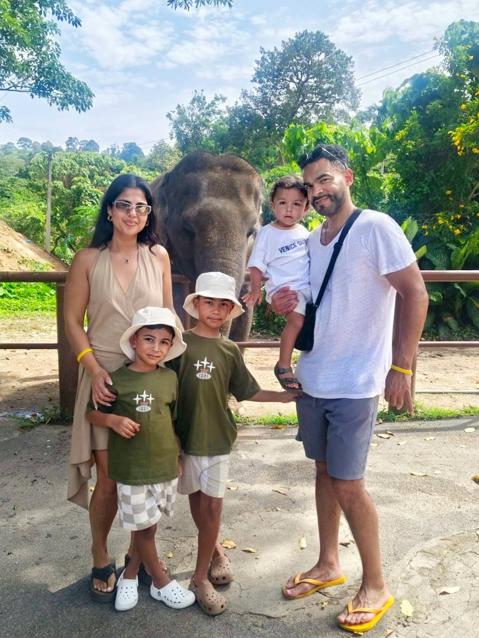Tourists with elephants